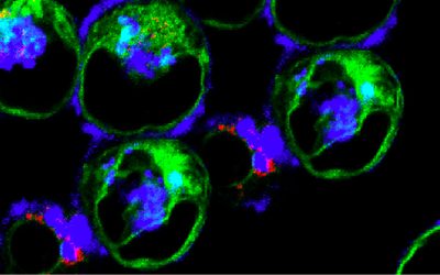 Newsletter: Gating Strategies