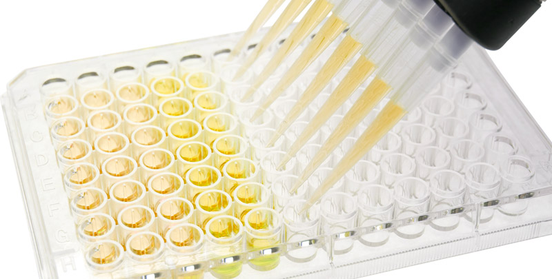 ELISA application  ELISA application