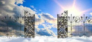 Newsletter: Art of Gating Flow Cytometry Data