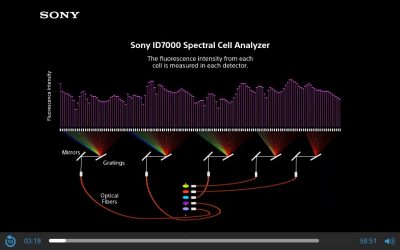Panel Design Considerations for Spectral Flow Cytometry