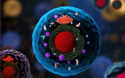 Newsletter: Fluorescent Probes for Intracellular Calcium Measurement