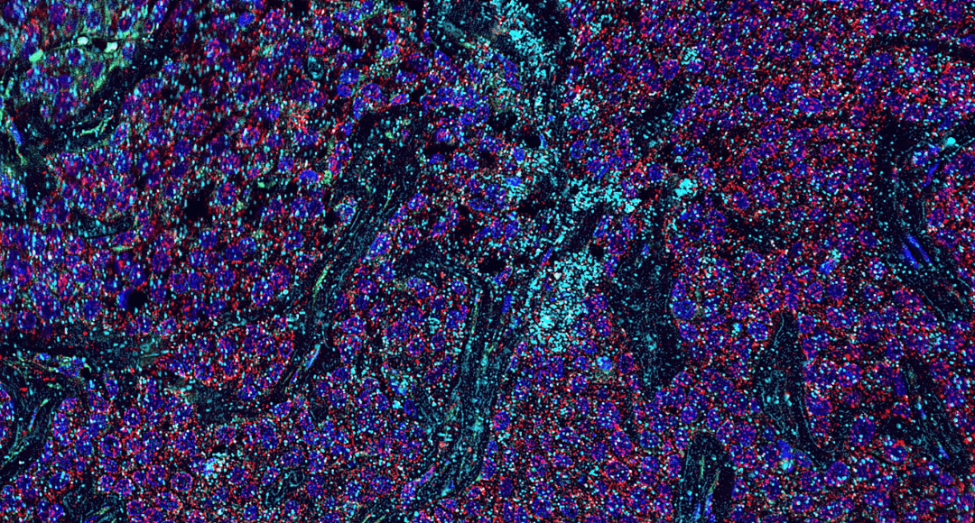 The Rise of Spatial-Omics Technologies