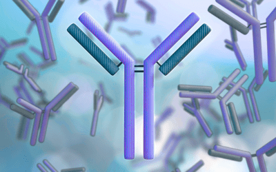 Advantages of Recombinant Antibody Development