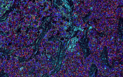 The Rise of Spatial-Omics Technologies