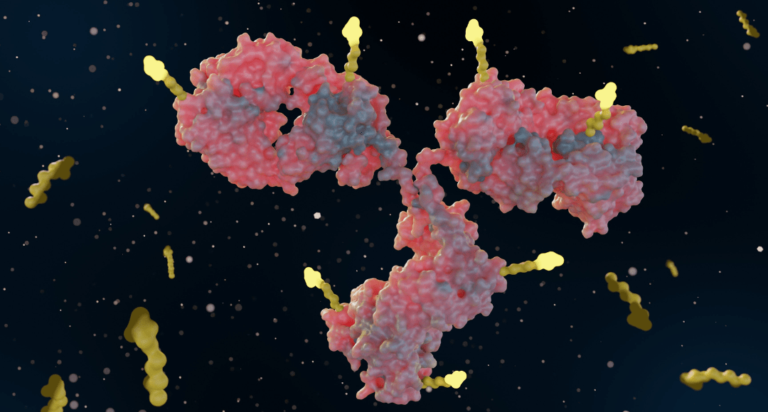 3d rendering of Antibody drug conjugates (ADCs) are targeted medicines that deliver chemotherapy agents to cancer cells