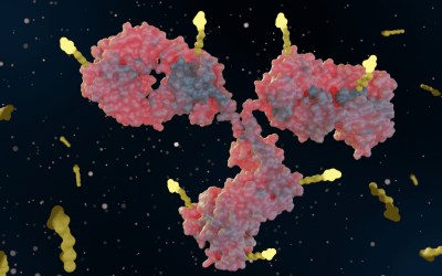 Antibody Conjugation Techniques