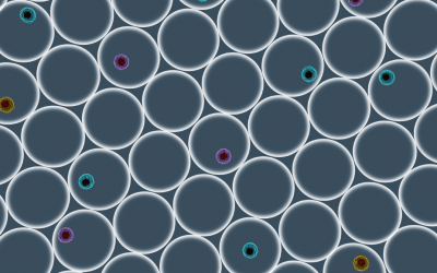 Blockers, Buffers, and Beyond: Supplementary Reagents for Flow Cytometry