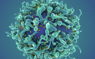 Cell Mimics In Cell Manufacturing Applications