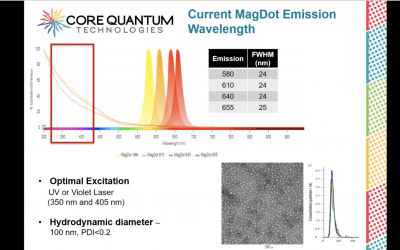 Novel Fluorescent and Magnetic Reagents for Life Science Research: The MagDot