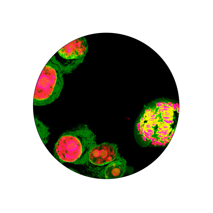 FF-applications-images-circle-1