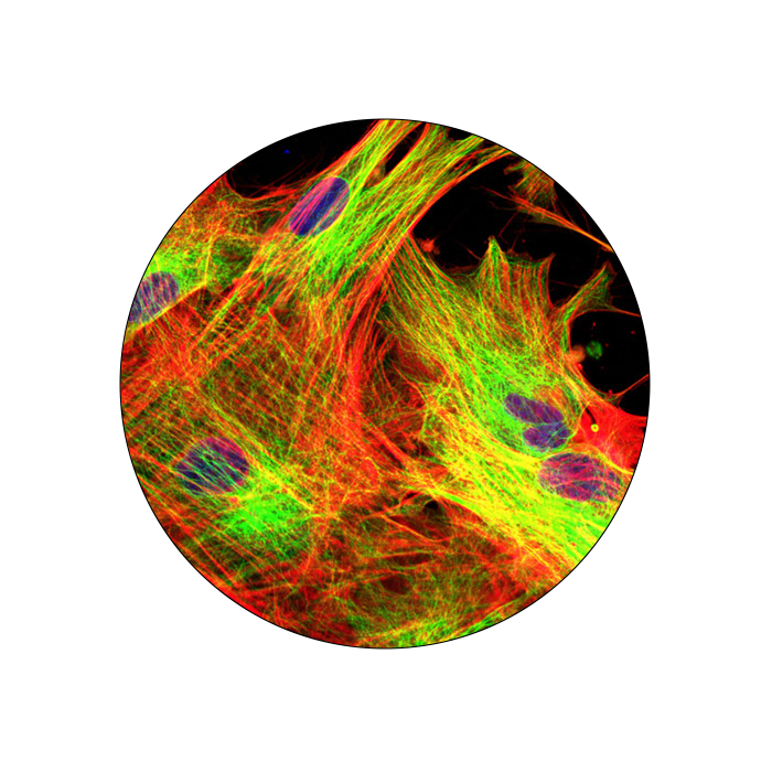 FF-applications-images-circle-2