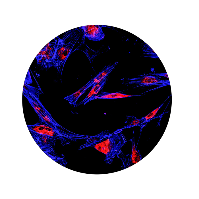 FF-applications-images-circle-6