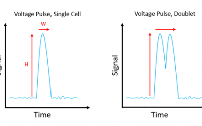 Newsletter: Distinguishing Cell-Cell Complexes from Singlet Cells