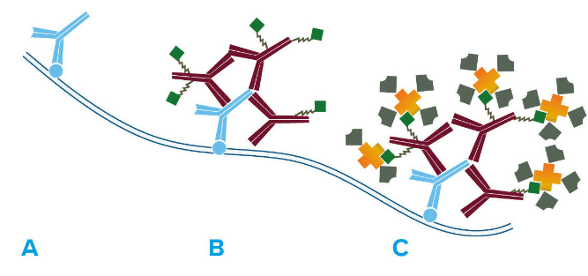 Figure 2. The LSAB method.
