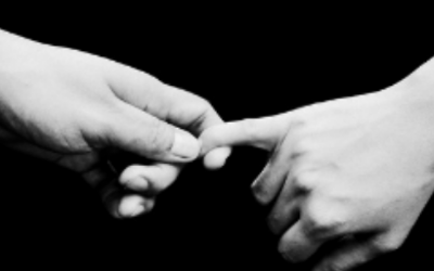 Newsletter: Matching Secondary Antibodies for Indirect Flow Cytometry