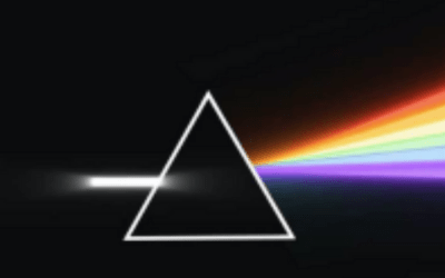 Newsletter: Multicolor Microscopy