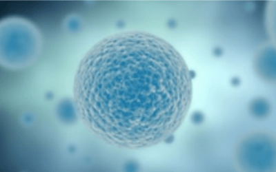 Newsletter: The Potential and Limitations of Image Flow Cytometry