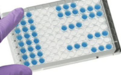 Newsletter: FLISA vs Fluorescent ELISA
