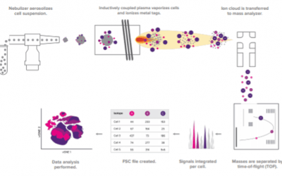 Mass Cytometry – Explained