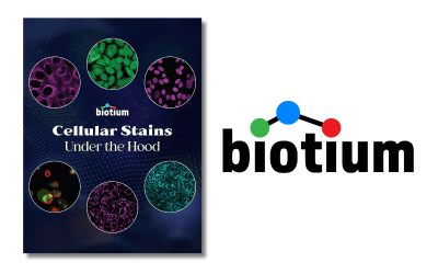 Poster: Cellular Stains Under the Hood