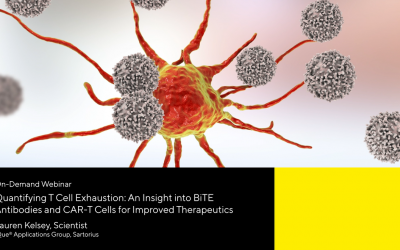 Quantifying T Cell Exhaustion: An Insight into BiTE Antibodies and CAR-T Cells for Improved Therapeutics