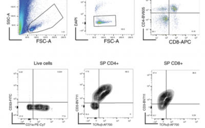 Excluding Dead Cells With a Cell Viability Fluorescent Dye