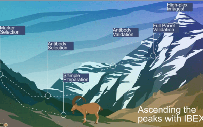Highly Multiplexed Imaging of Diverse Tissues Using IBEX