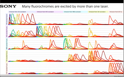 High-Dimensional High-Throughput Rare Event Immunophenotyping on the ID7000™ Spectral Cell Analyzer