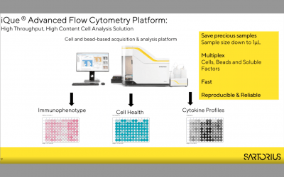 Measuring T Cell Exhaustion: A Multiplexed Approach Utilizing Advanced Flow Cytometry