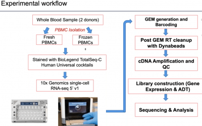 Evaluation of Large Antibody Panels in Single-Cell Genomic Immunophenotyping of Fresh and Frozen Human Leukocytes