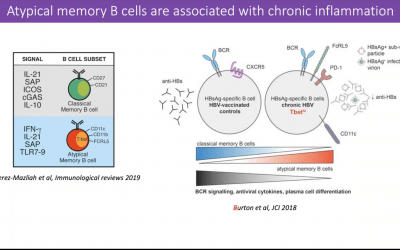 An Inflammatory State Remodels the Immune Microenvironment and Improves Risk Stratification in Acute Myeloid Leukemia