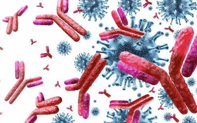 Validation of Antibodies for Flow Cytometry