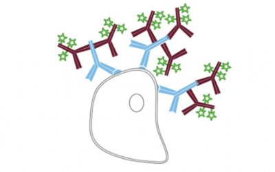 Challenges with Secondary Detection