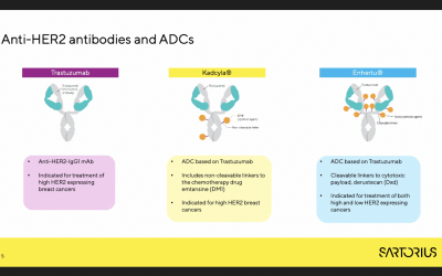 Targeted Tumor Destruction: High-Throughput Assessment of ADC Cytotoxicity using Flow Cytometry