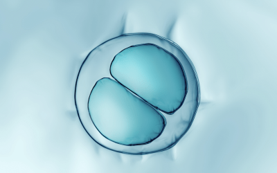 Cell Sorting in Stem Cell Research