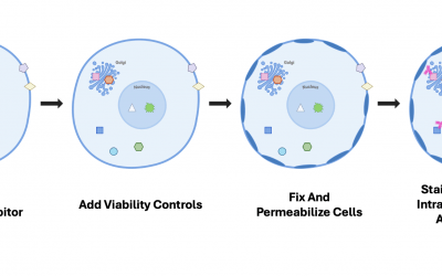 Intracellular Flow Cytometry