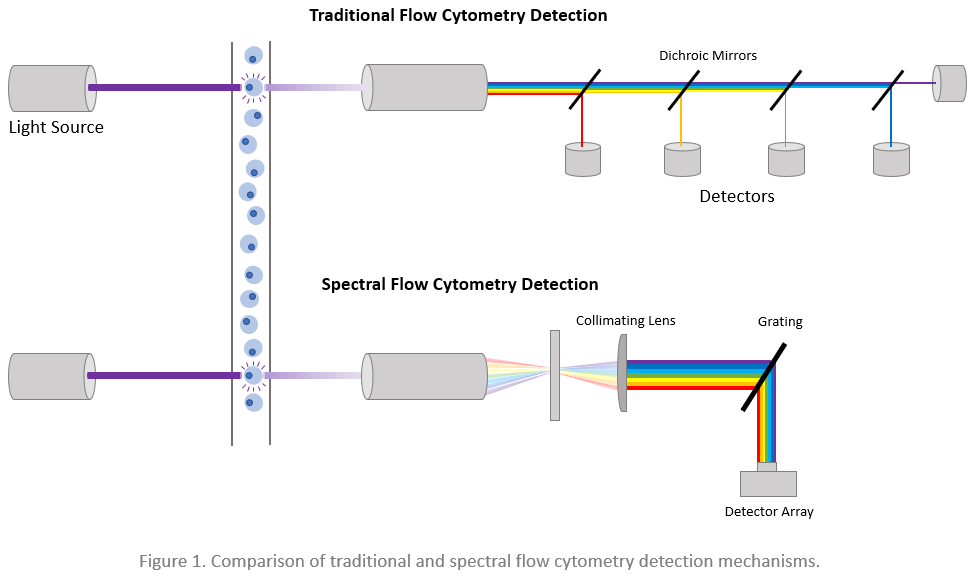 Newsletter: Dyes for Spectral Analyzers