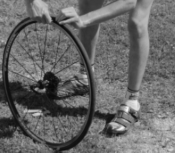 Newsletter: OMIPs Simplify Panel Design