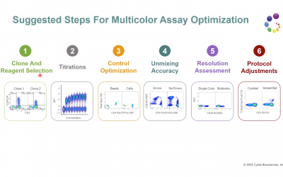 Generating Robust Flow Cytometry Results Through Assay Optimization