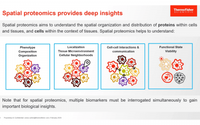 Spatial Biology Antibodies: General Considerations and Validation